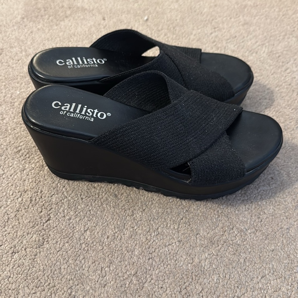 Callisto platform slides. - Picture 4 of 6